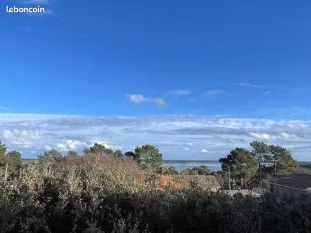 forêt 470 m² lacanau