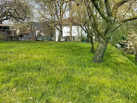 maison individuelle avec grand jardin arboré et fort potenti