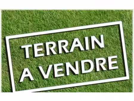 terrain