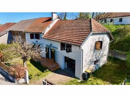 maison en pisé — jardin arboré  barbecue en dur  garage et dépendance