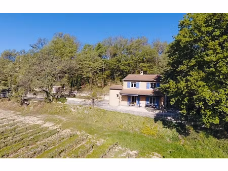 proche vaison - belle villa 110m2 avec vue