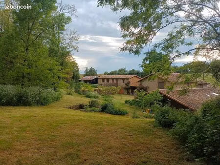 maison dans un environnement calme et verdoyant