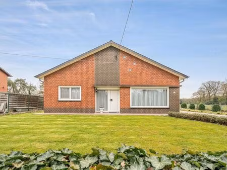 maison à vendre à hechtel € 340.000 (ln5qa) - my place bvba | zimmo