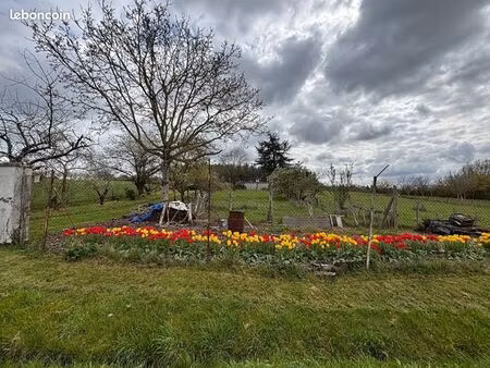 terrain 3 180 m² senille