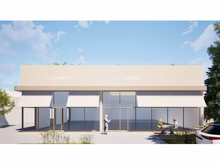 vente locaux professionnels 0 pièces 236 m² à meze (34140)  738 000 €