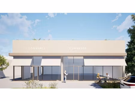 vente locaux professionnels 236 m² à meze (34140)  738 000 €