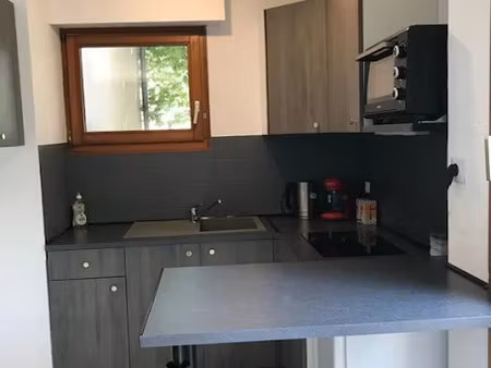 location appartement 1 pièce 31 m² à lingolsheim (67380)  510 €