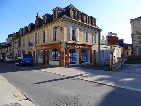 immeuble montignac lascaux 13 pièce(s) 338 m2