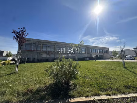 immobilier professionnel à vendre perpignan