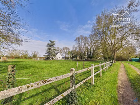 propriété équestre dans le bourg de neuillé