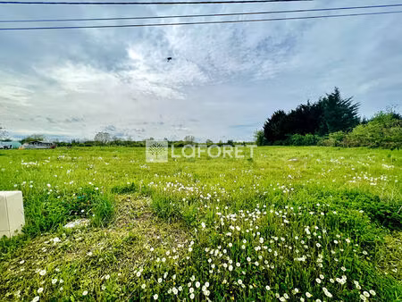 terrain beaupont 1240m2