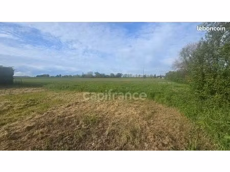 terrain 4 397 m² nachamps