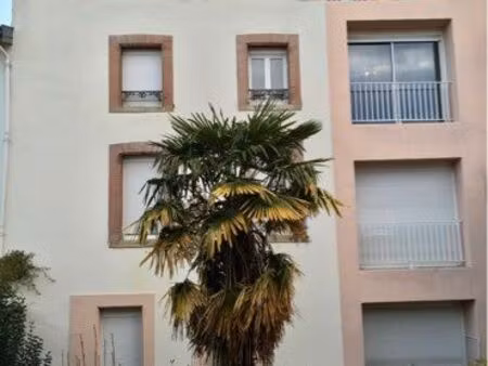 appartement grand t3