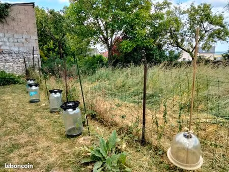 en recherche d'une maison à la campagne