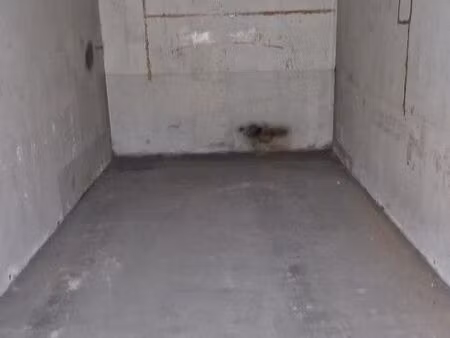 garage / box stockage