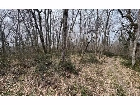 terrain léojac m² t- à vendre  10 000 €