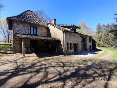 coup de c?ur - maison en pierres & cadre enchanteur bussiere galant