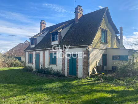 maison chateauneuf en thymerais