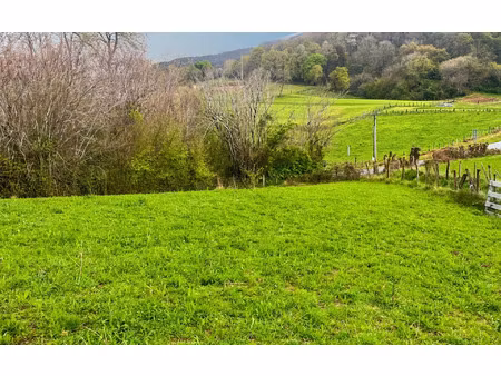 terrain ainhoa m² t- à vendre  126 000 €