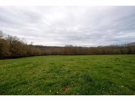 terrains - 88 086 m² - lalongue (64)