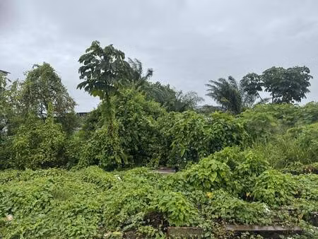 terrain constructible viabilisé à vendre