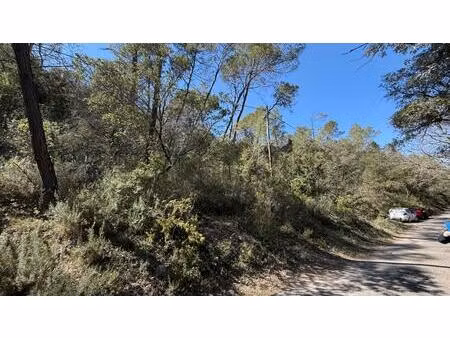 terrain forestier 5220m² entrecasteaux