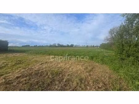 vente terrain à nachamps (17380) : à vendre / 4397m² nachamps