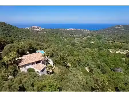 villa de 8 pièces de luxe en vente monticello  corse
