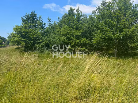 terrain aureilhan 990 m2