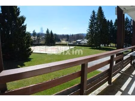 petiet estelle réseau swixim agent commercial