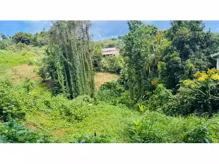 terrain à vendre sainte marie 1320m2 60 000€