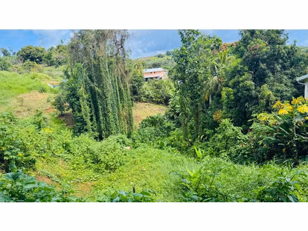 terrain à vendre sainte marie 1320m2 66 000€