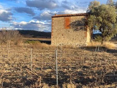 vente vignes 8419m2 et remise agricole - montner