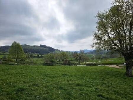 terrain 5 000 m² matour