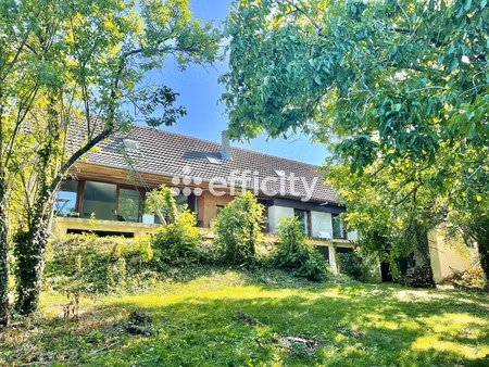 maison 10 pièces - 215 m²