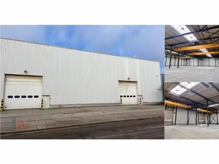 surface industrielle à louer à oosterring 12 genk (rbv69036)