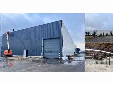 surface industrielle à louer à oosterring 12 genk (rbv69037)