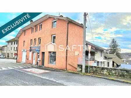 à vendre : immeuble de caractère à artemare (ain)