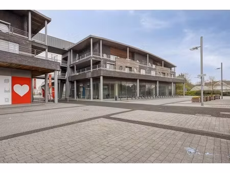 commercieel te huur in maaseik