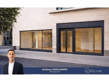 immobilier professionnel à vendre balaruc-les-bains