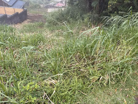terrain vue mer petite île