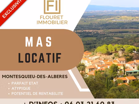 achat immeuble 270m² montesquieu des alberes 66740