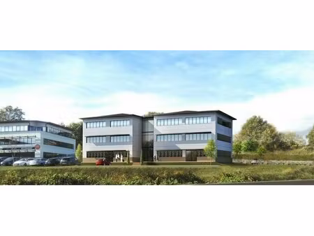 achat local professionnel 190m² lissieu 69380