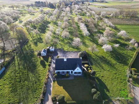 prachtig landhuis op 3ha 79a  ideaal voor paardenliefhebbers