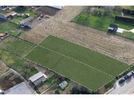 grond te koop in ninove