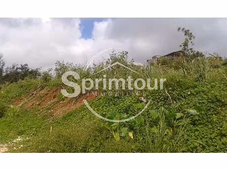 goyave - terrain à bâtir