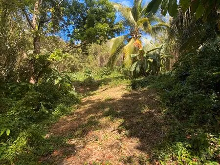 propriété à vendre