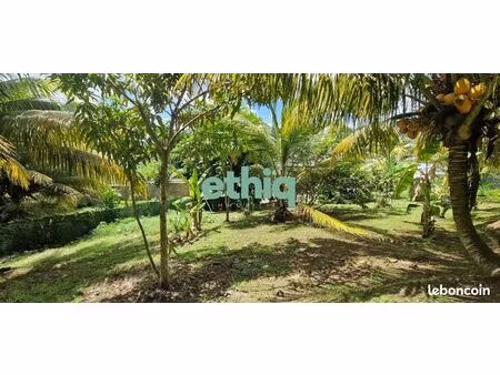 terrain 500 m² les abymes