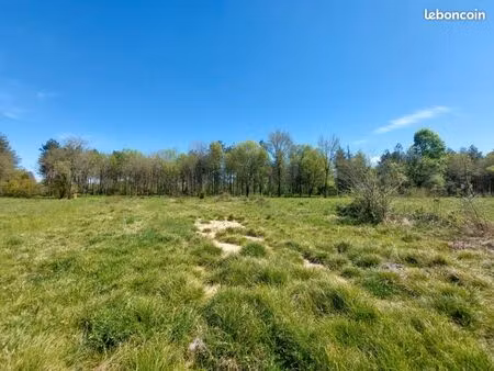 terrain 1 000 m² vacquiers