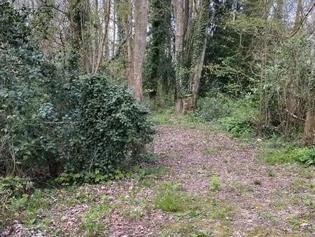 terrain constructible varengeville sur mer